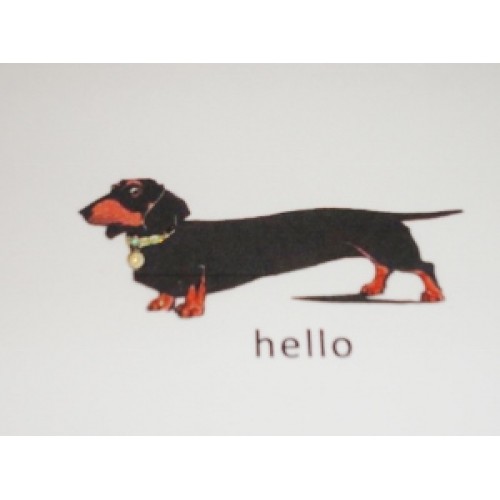 Dachshund Greeting Card